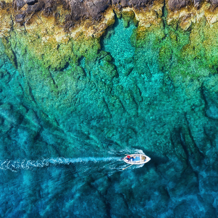 Descubrir la vida marina en el mar con una embarcación semirrígida: consejos para la observación y la interacción responsable